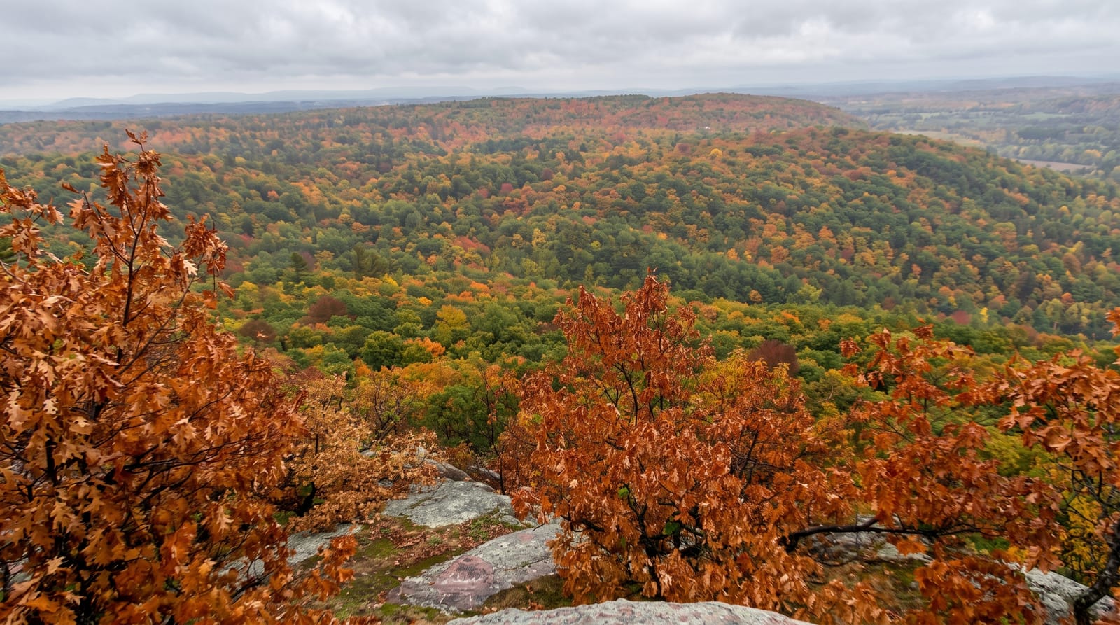 Gatineau Park