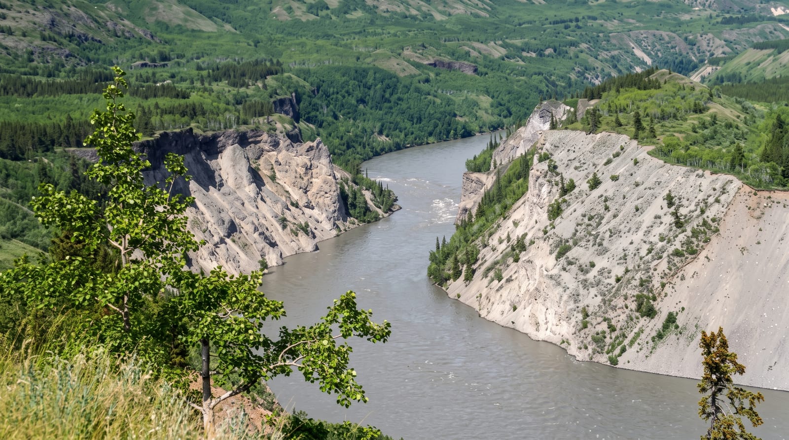Grand Canyon of the Stikine