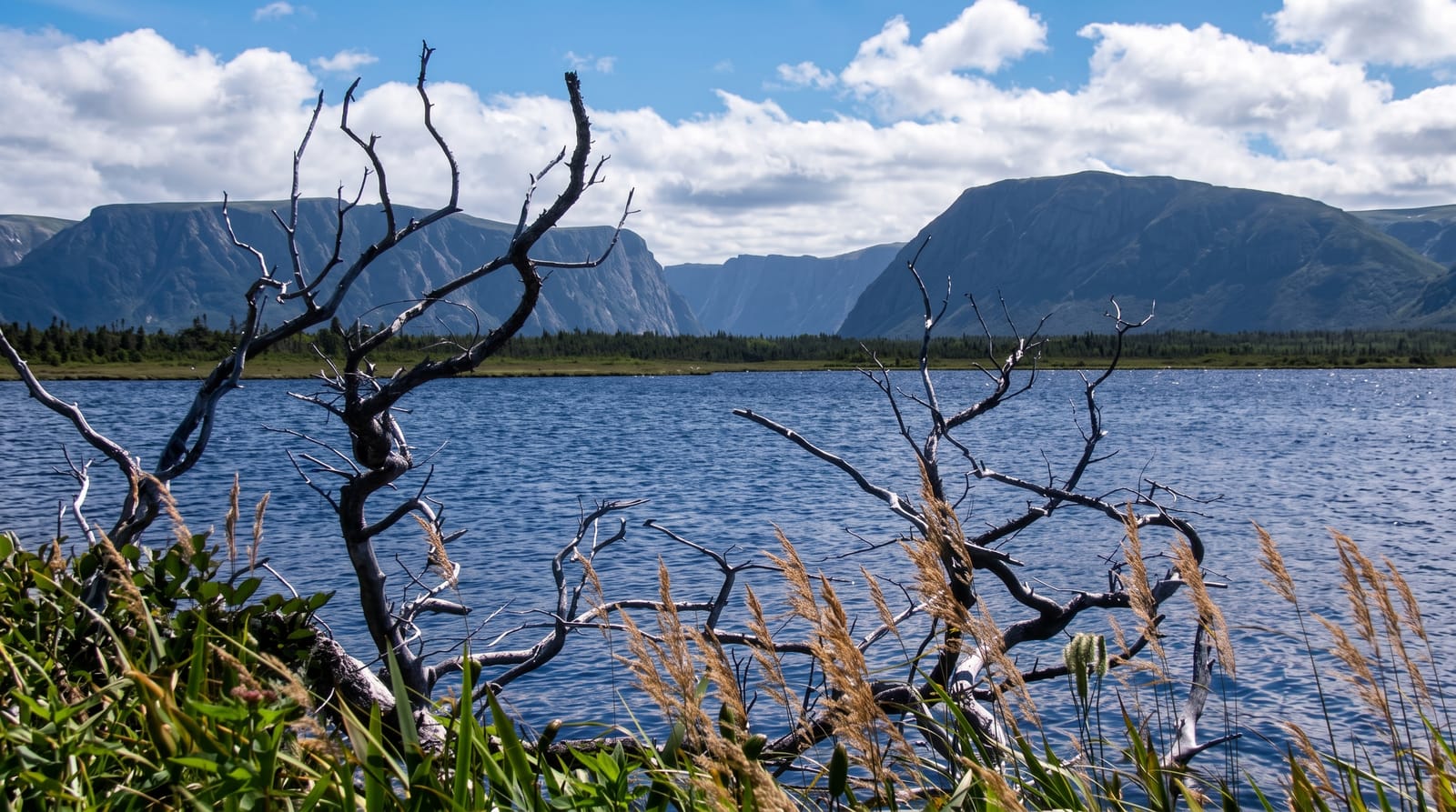 Gros Morne National Park