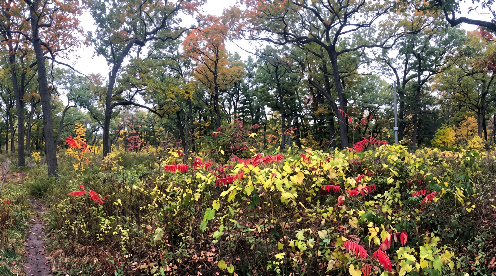 High Park