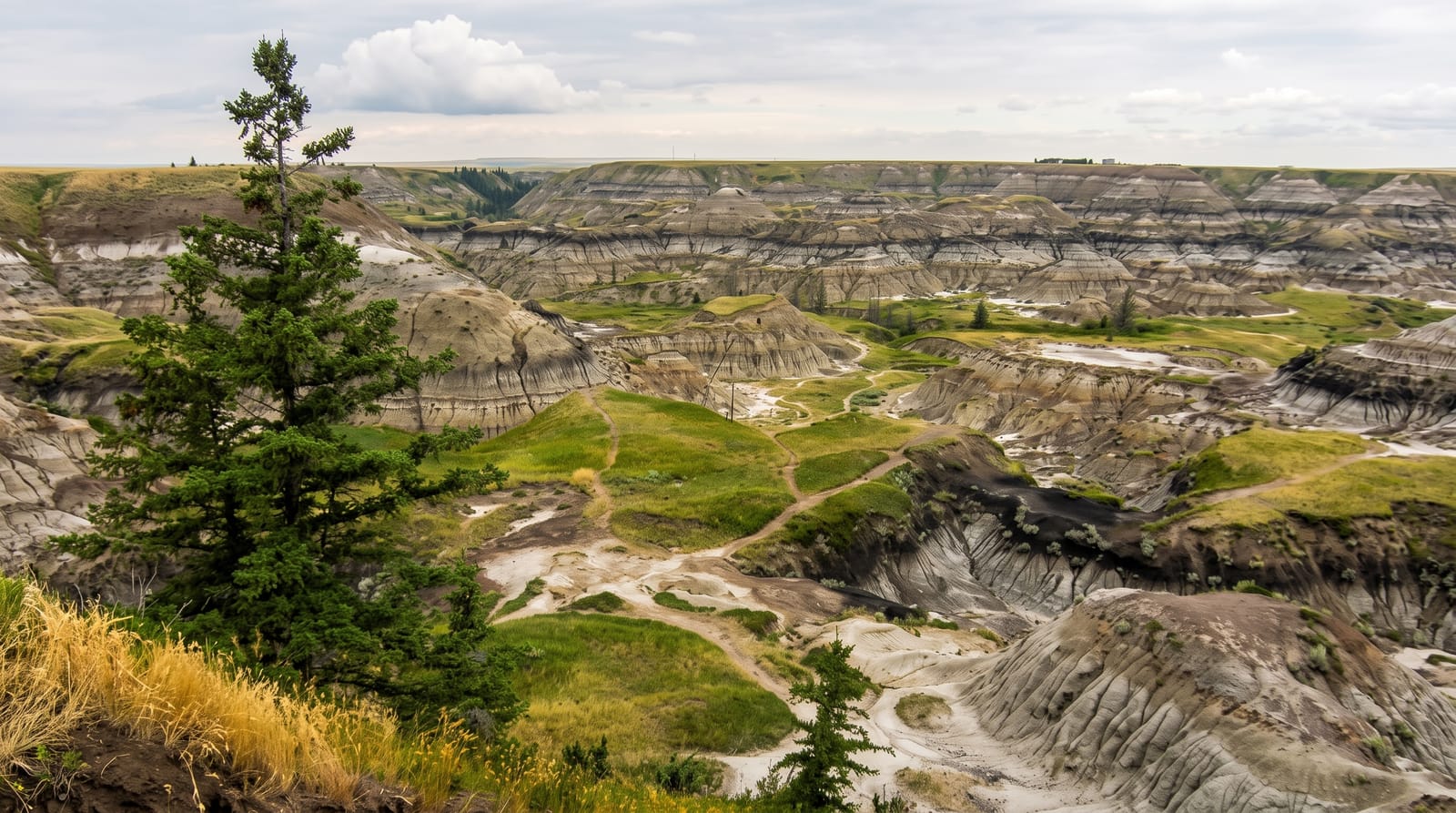 Horseshoe Canyon