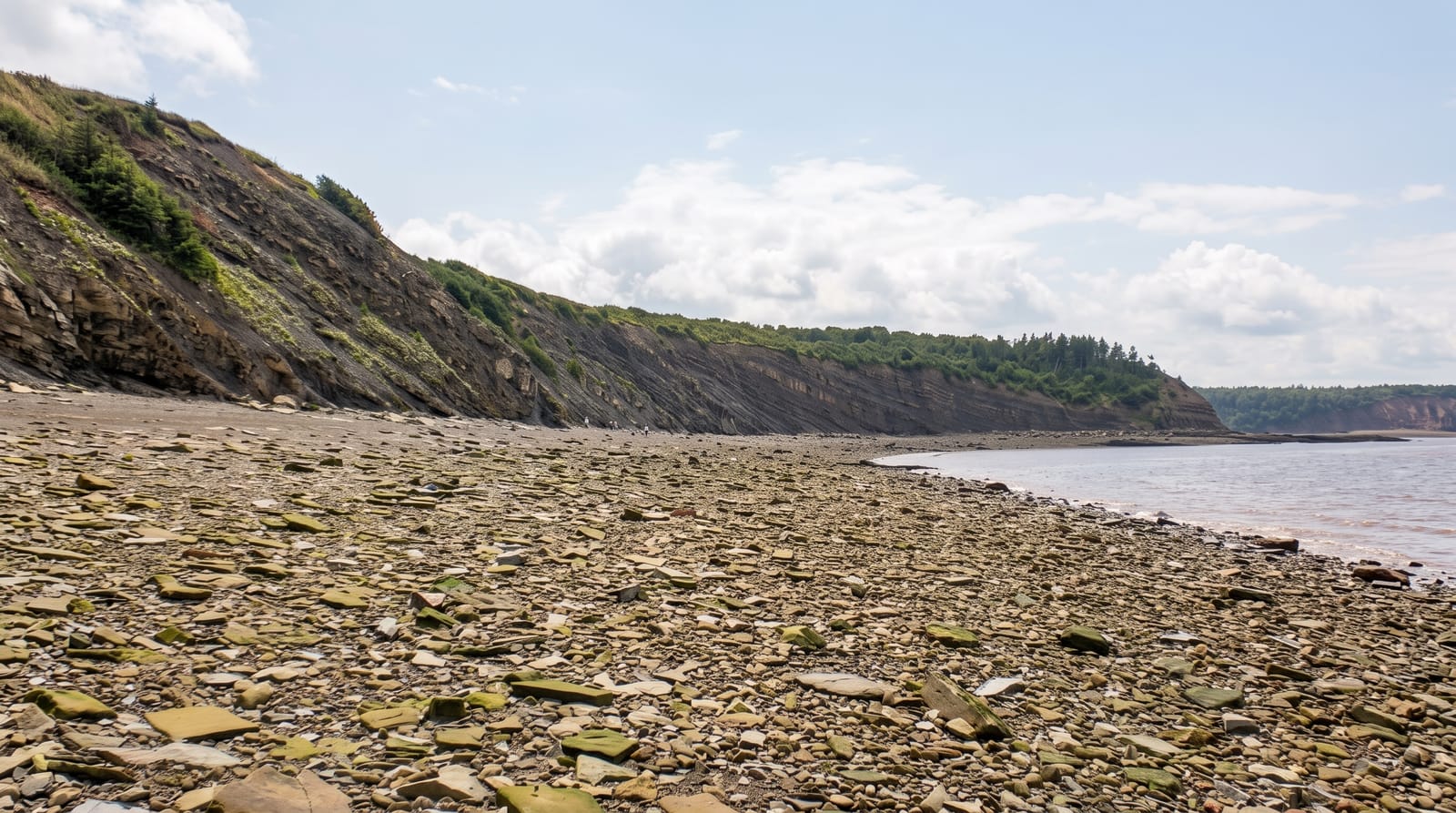 Joggins Fossil Cliffs