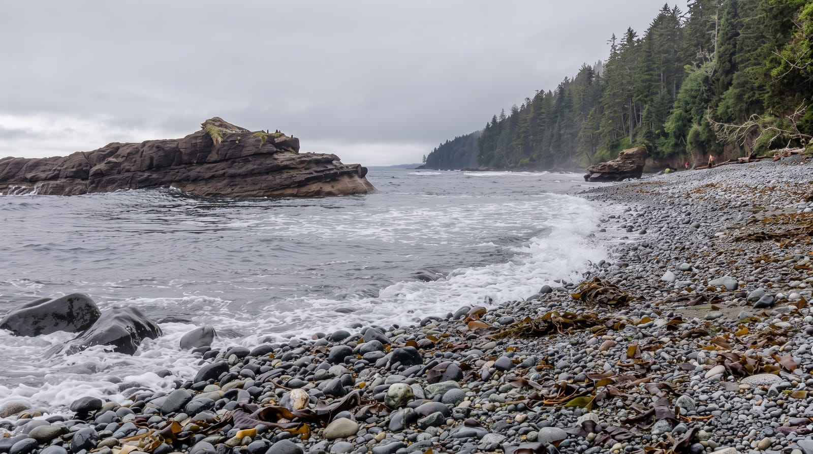 Juan de Fuca Trail