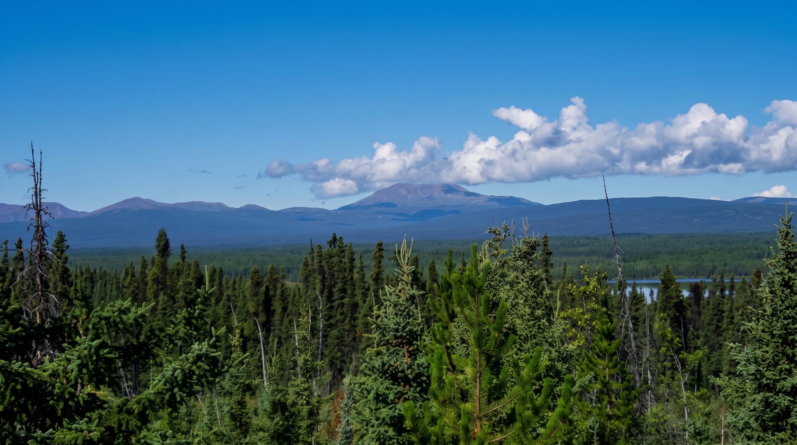 Mount Edziza