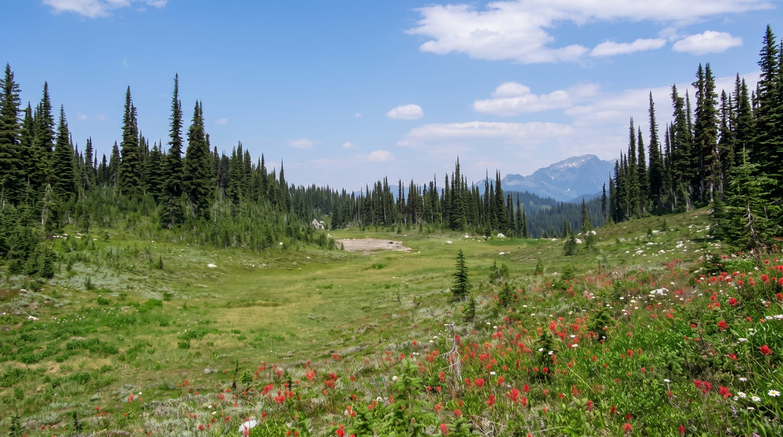 Mount Revelstoke National Park