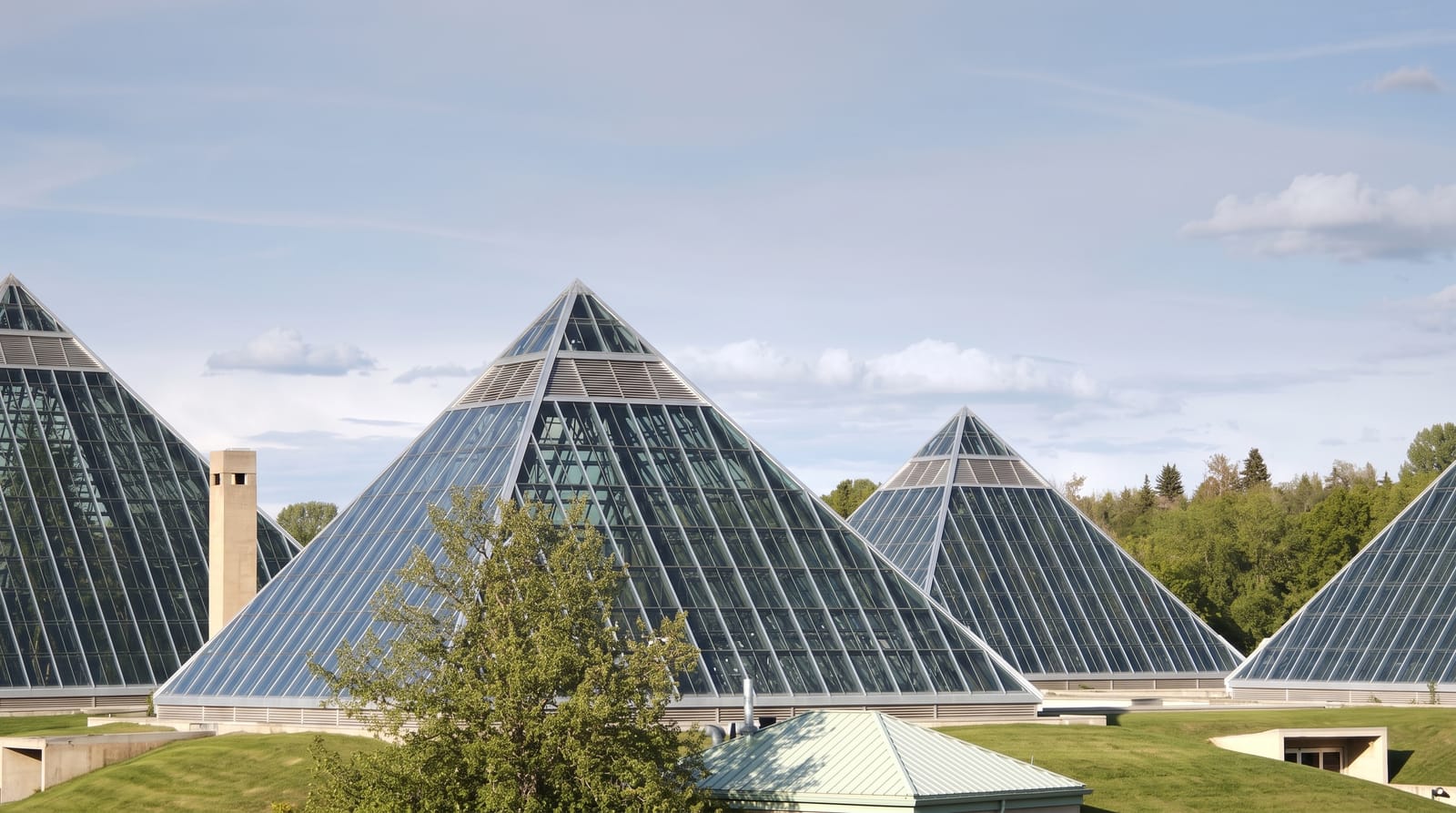 Muttart Conservatory