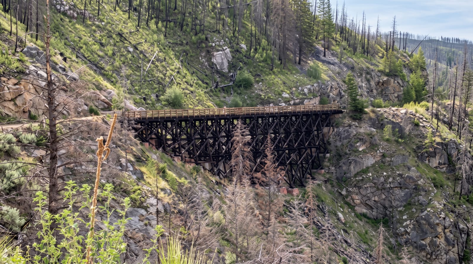 Myra Canyon Trestles