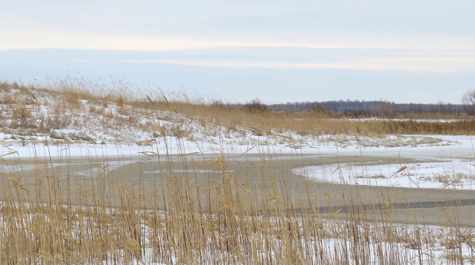 Oak Hammock Marsh
