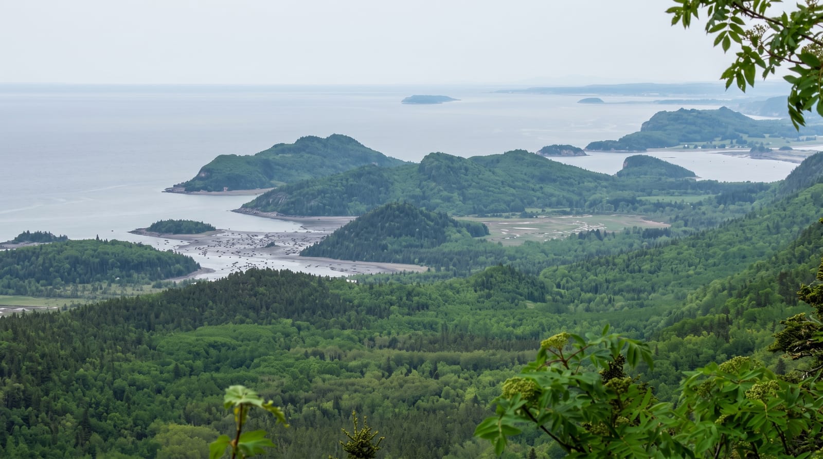 Parc national du Bic