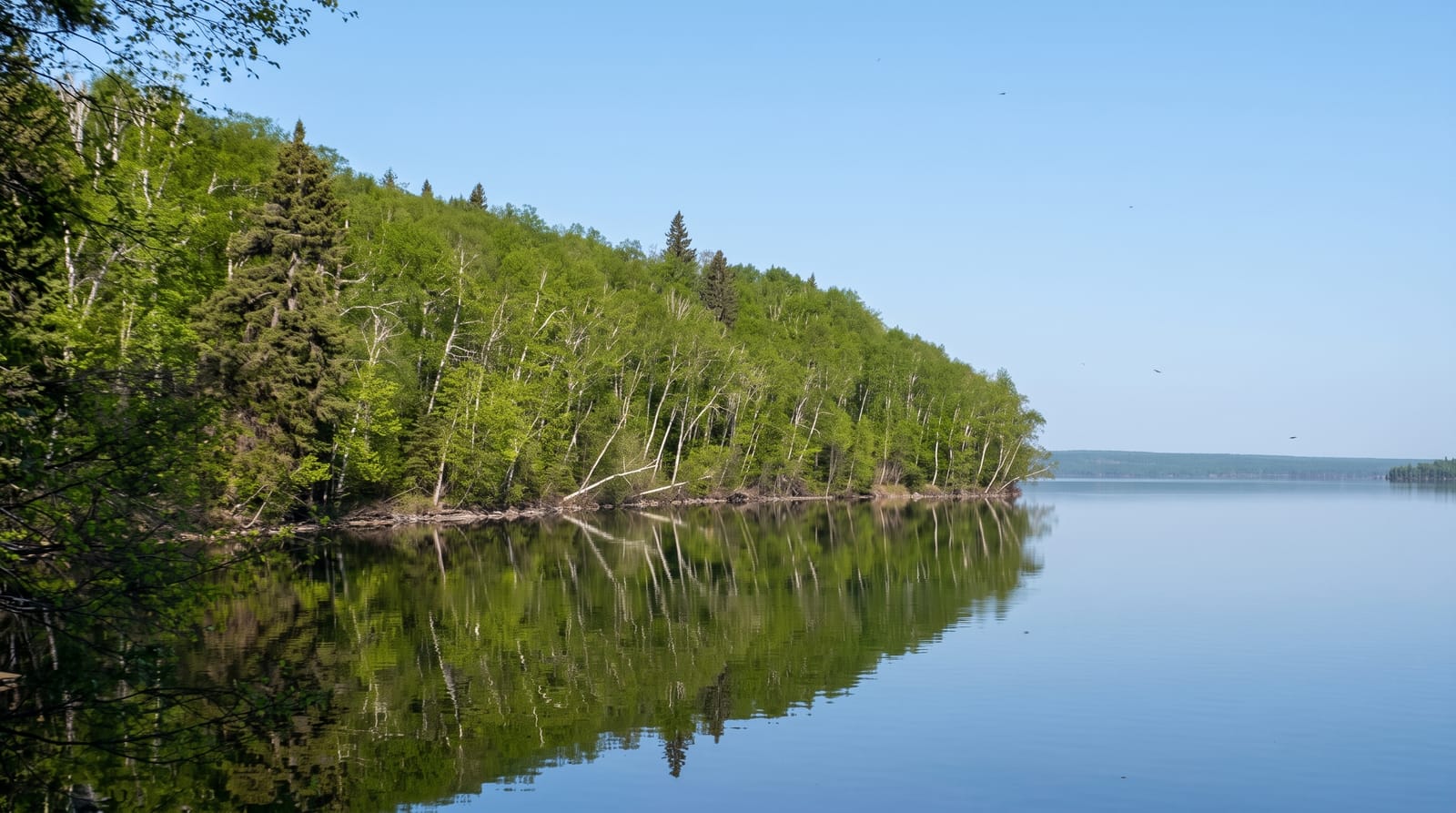 Prince Albert National Park