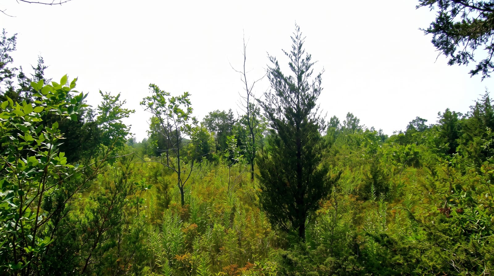 Prince Edward County