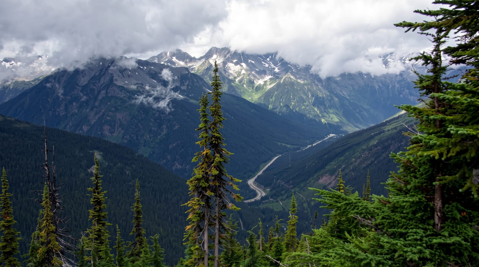 Rogers Pass and Glacier National Park