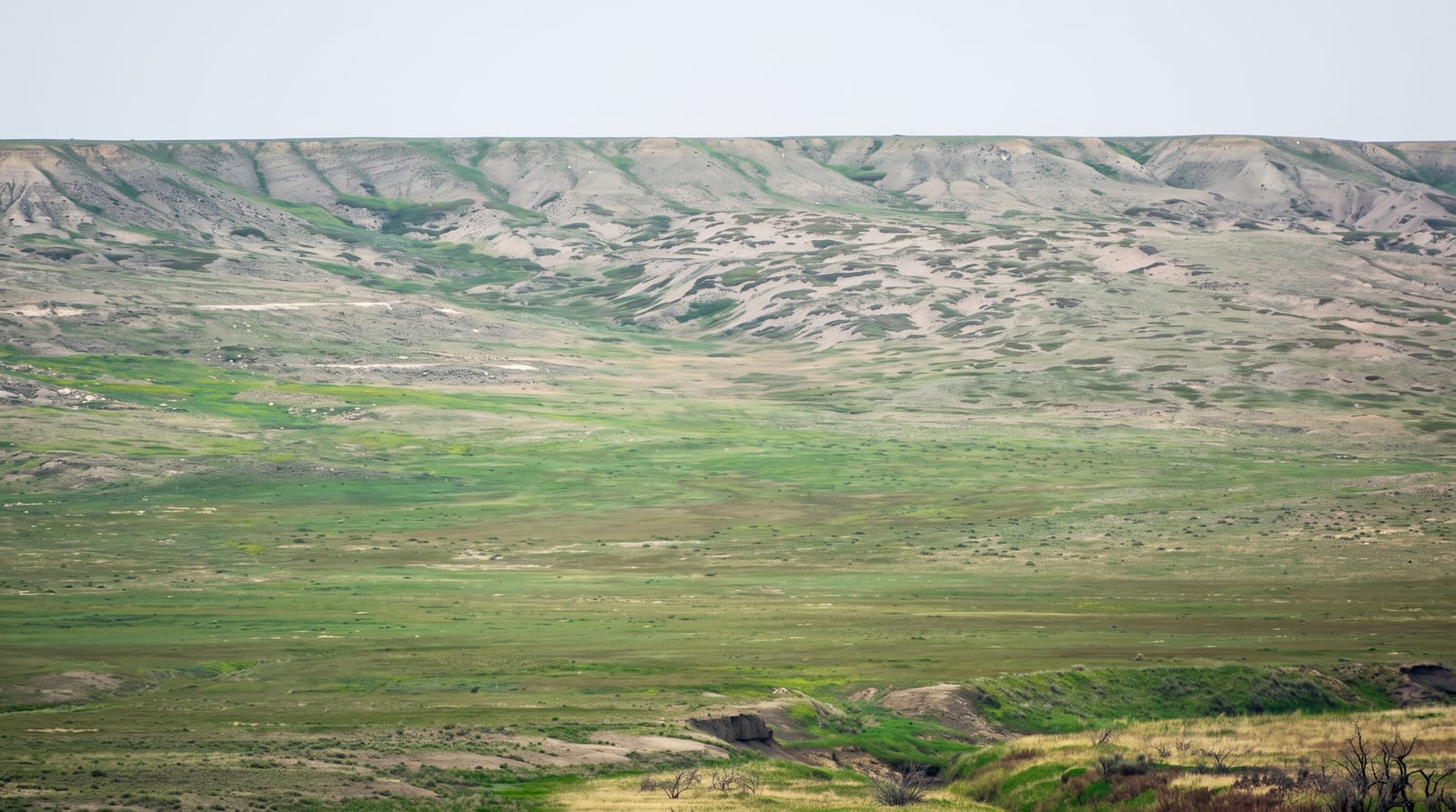Grasslands National Park