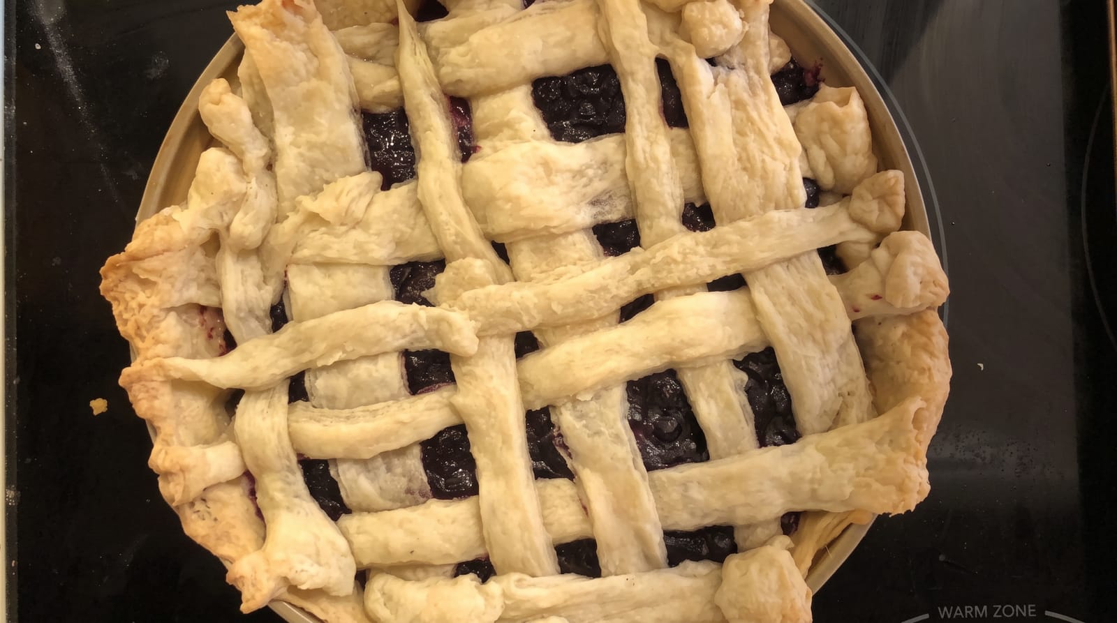 Saskatoon Berry Pie