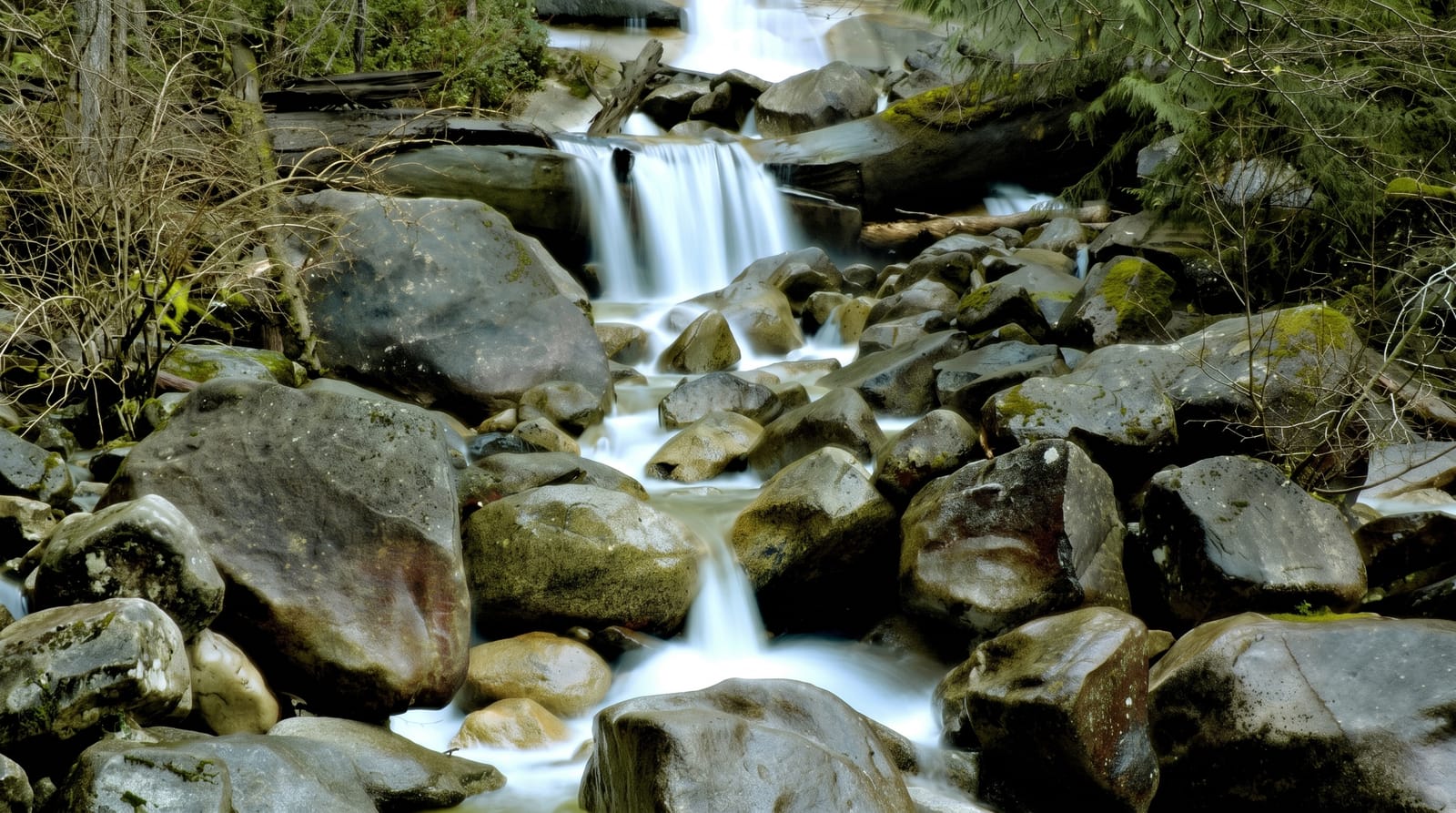 Shannon Falls