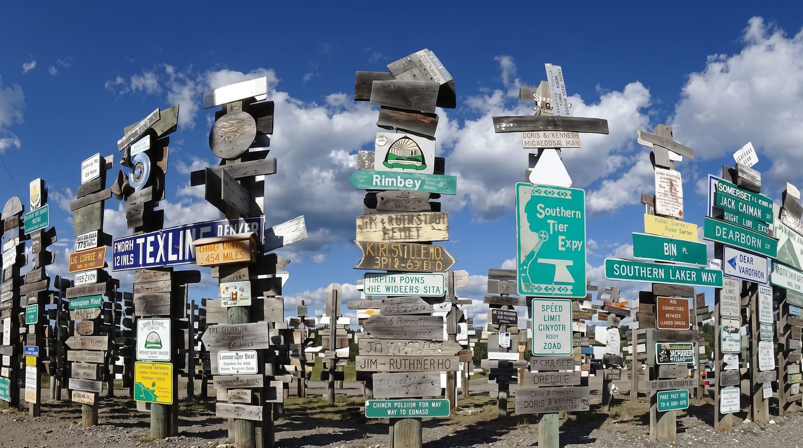 Sign Post Forest