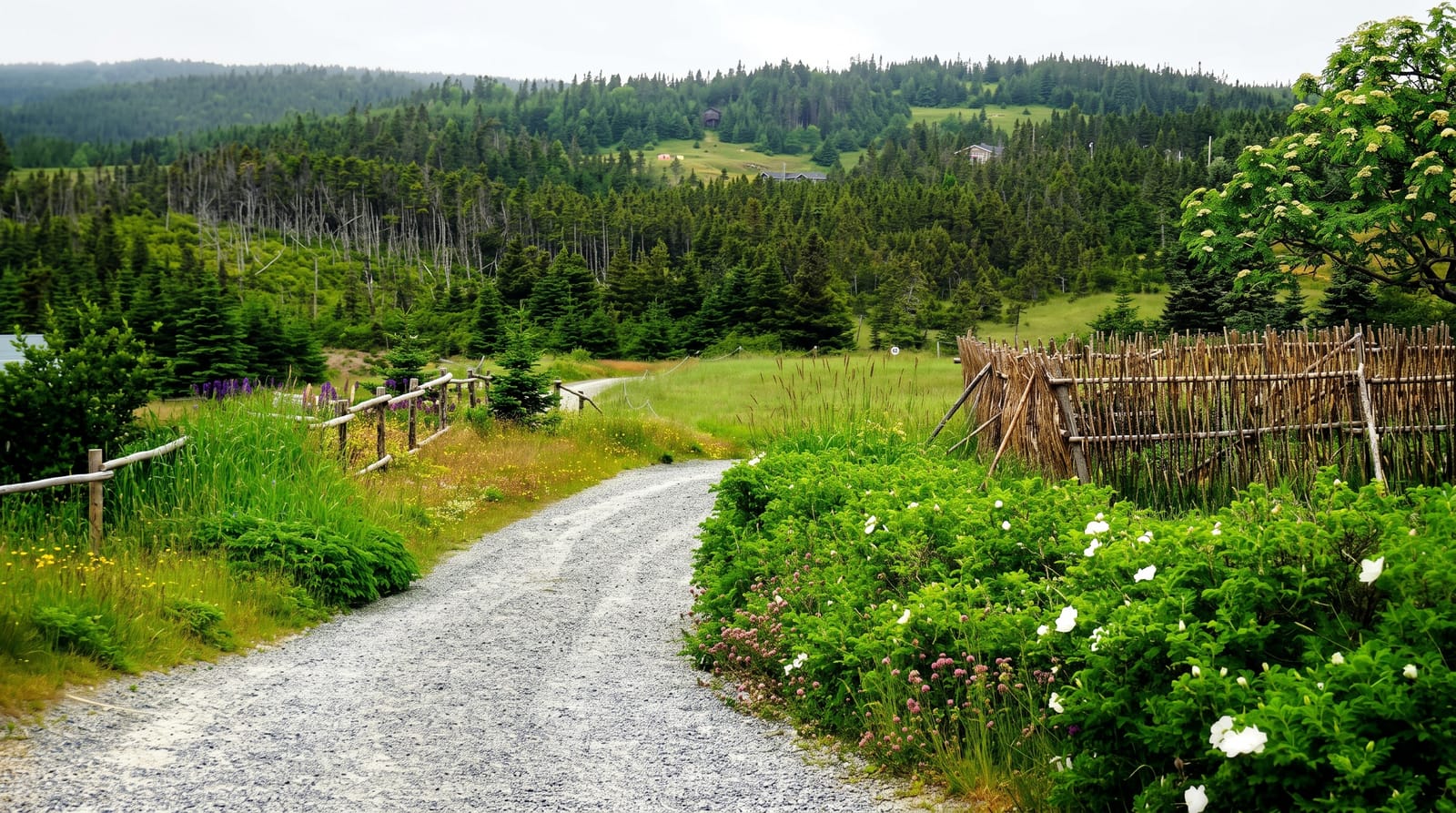 Skerwink Trail