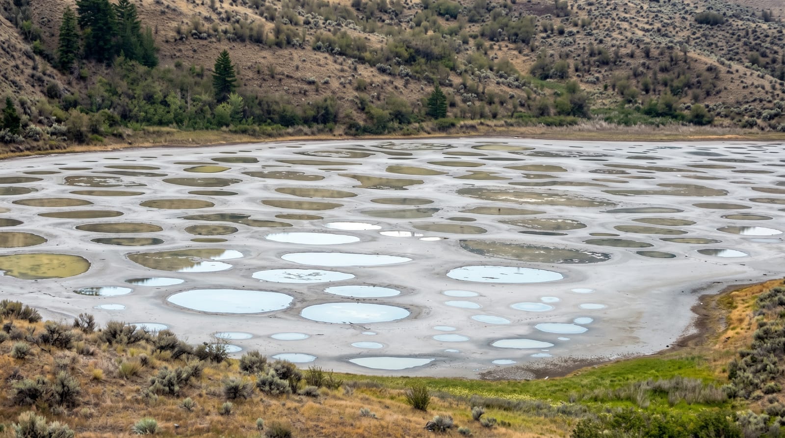 Spotted Lake