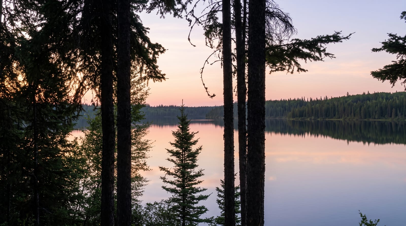 Wood Buffalo National Park