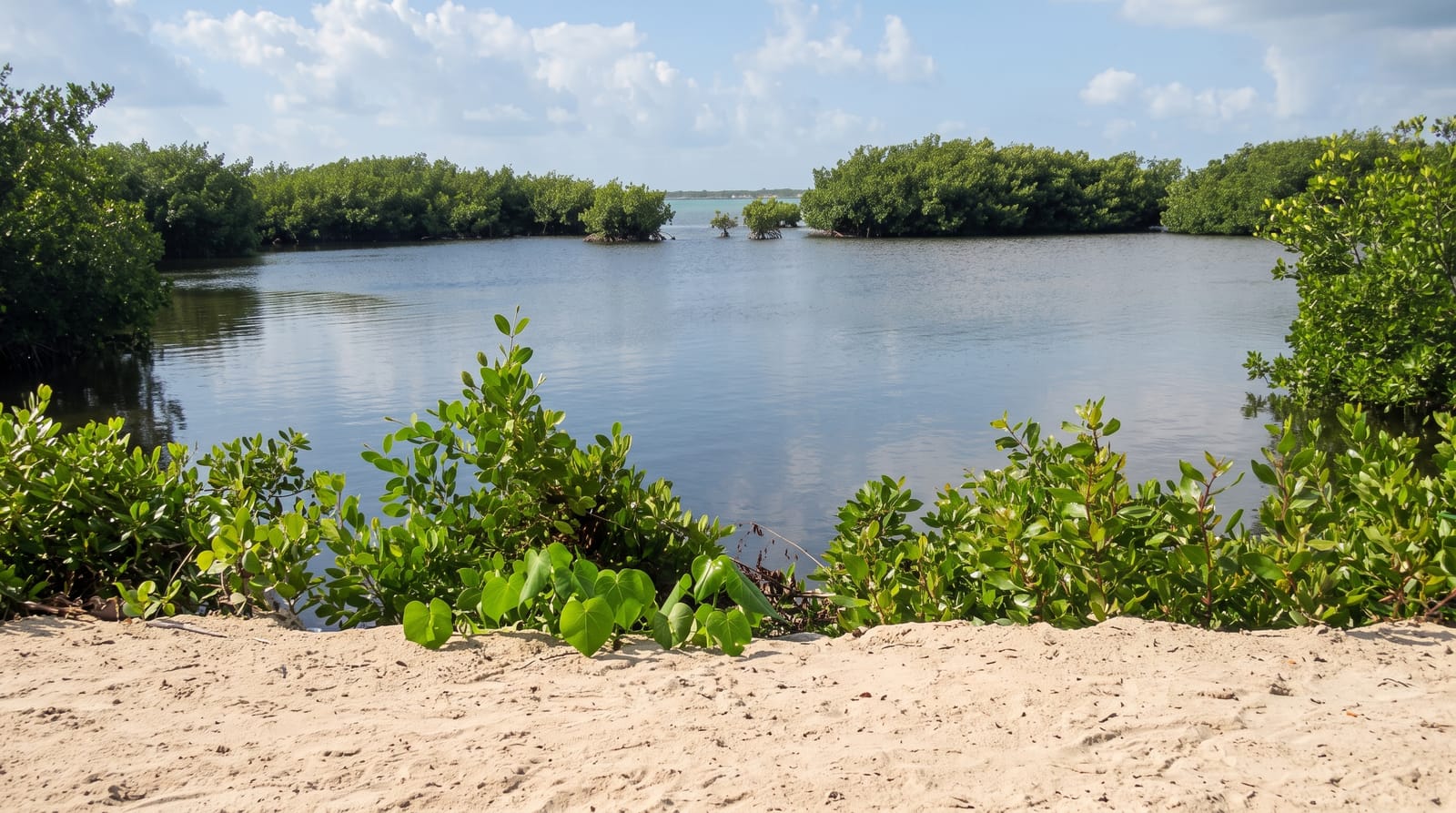 Barkers National Park