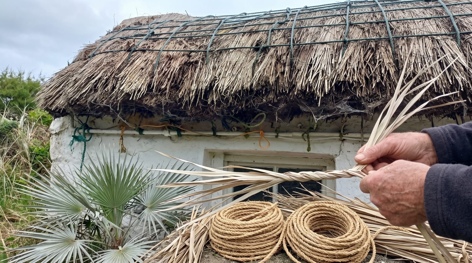 Thatch Rope