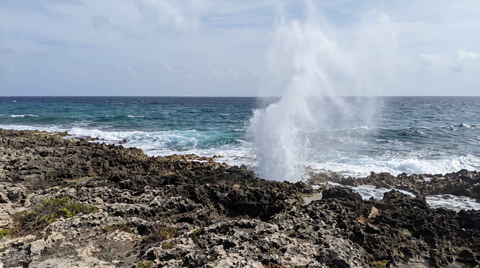 The East End Blowholes