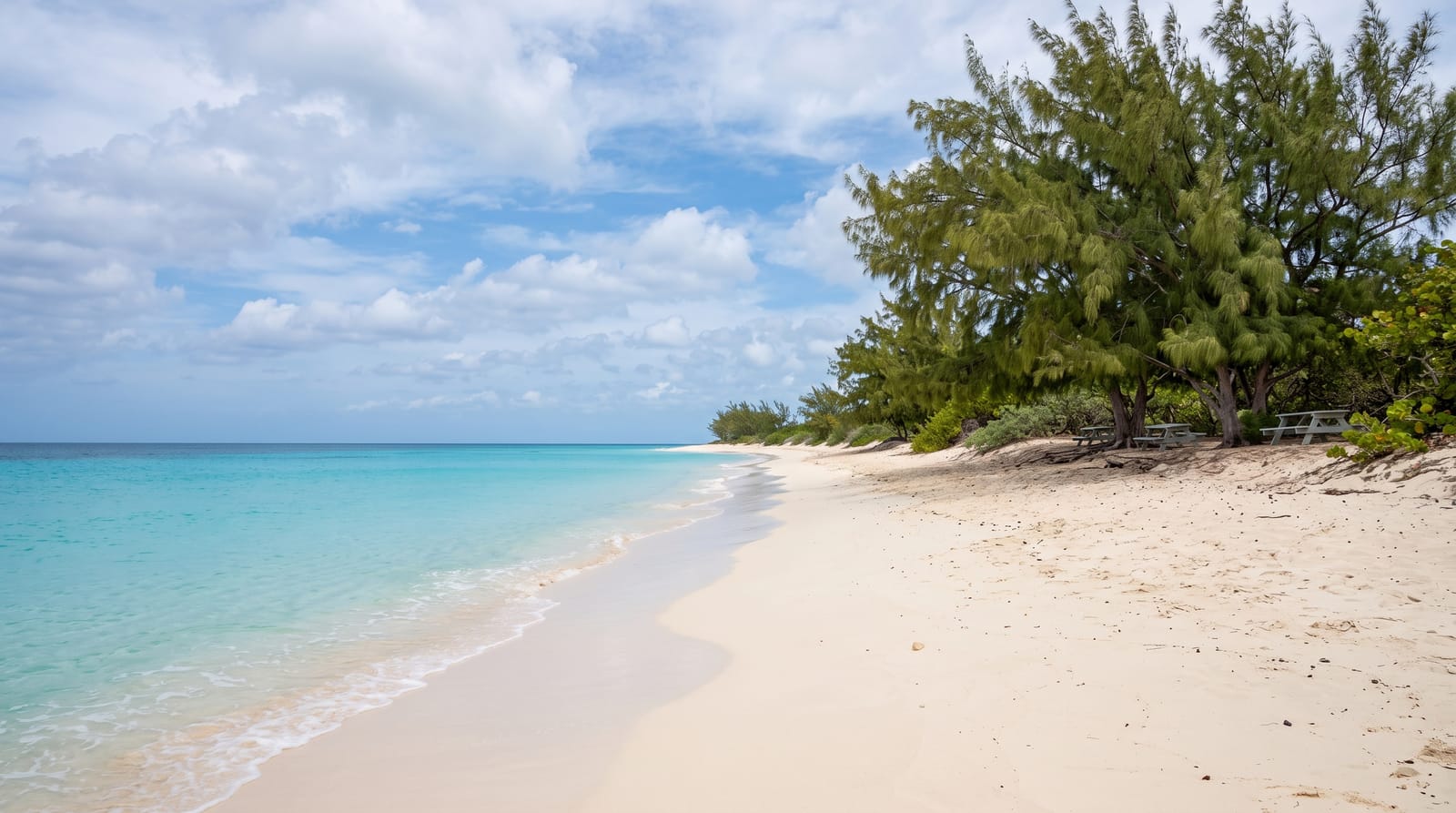 Governor's Beach