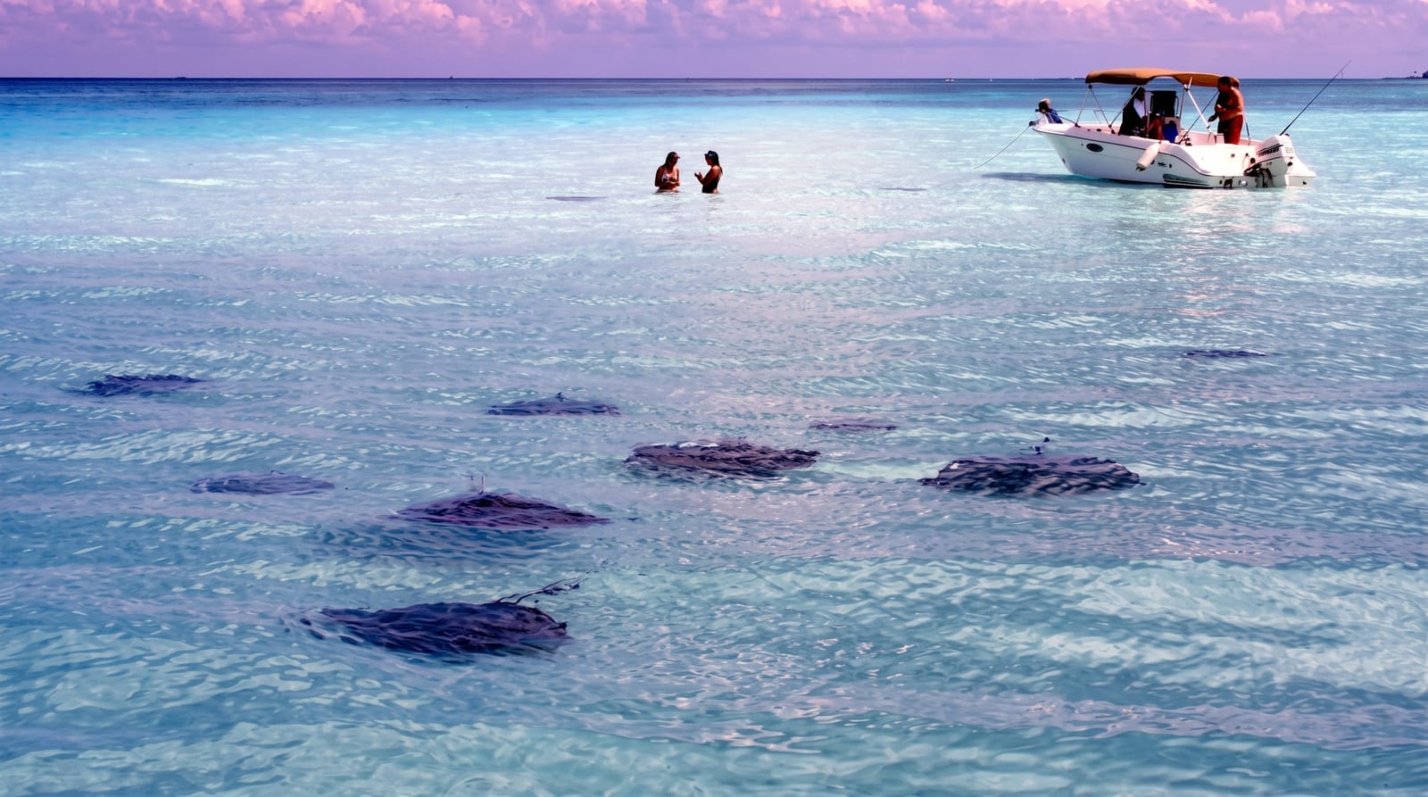 Stingray City