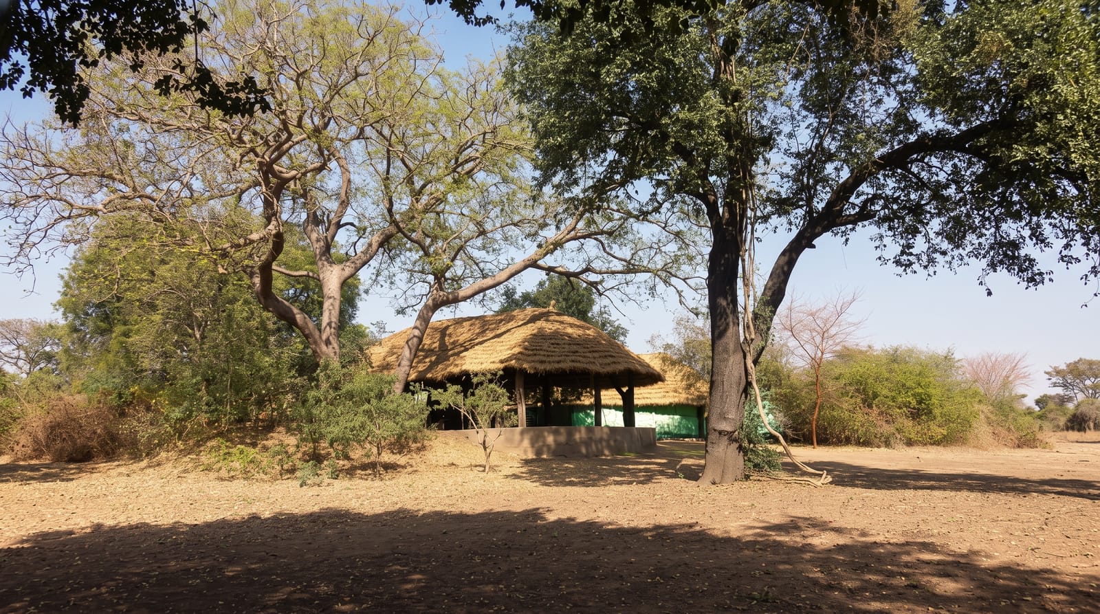 Zakouma National Park