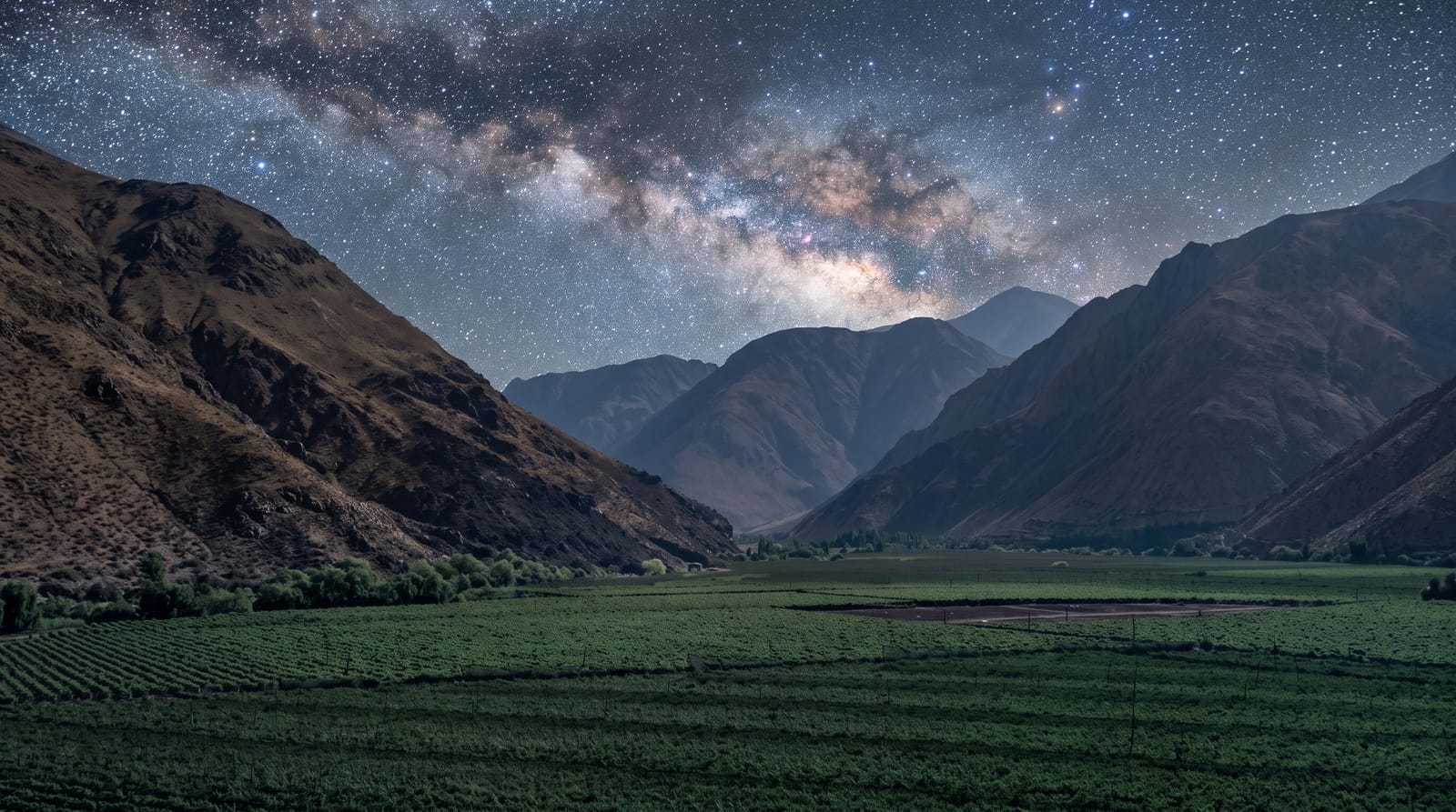 The Elqui Valley
