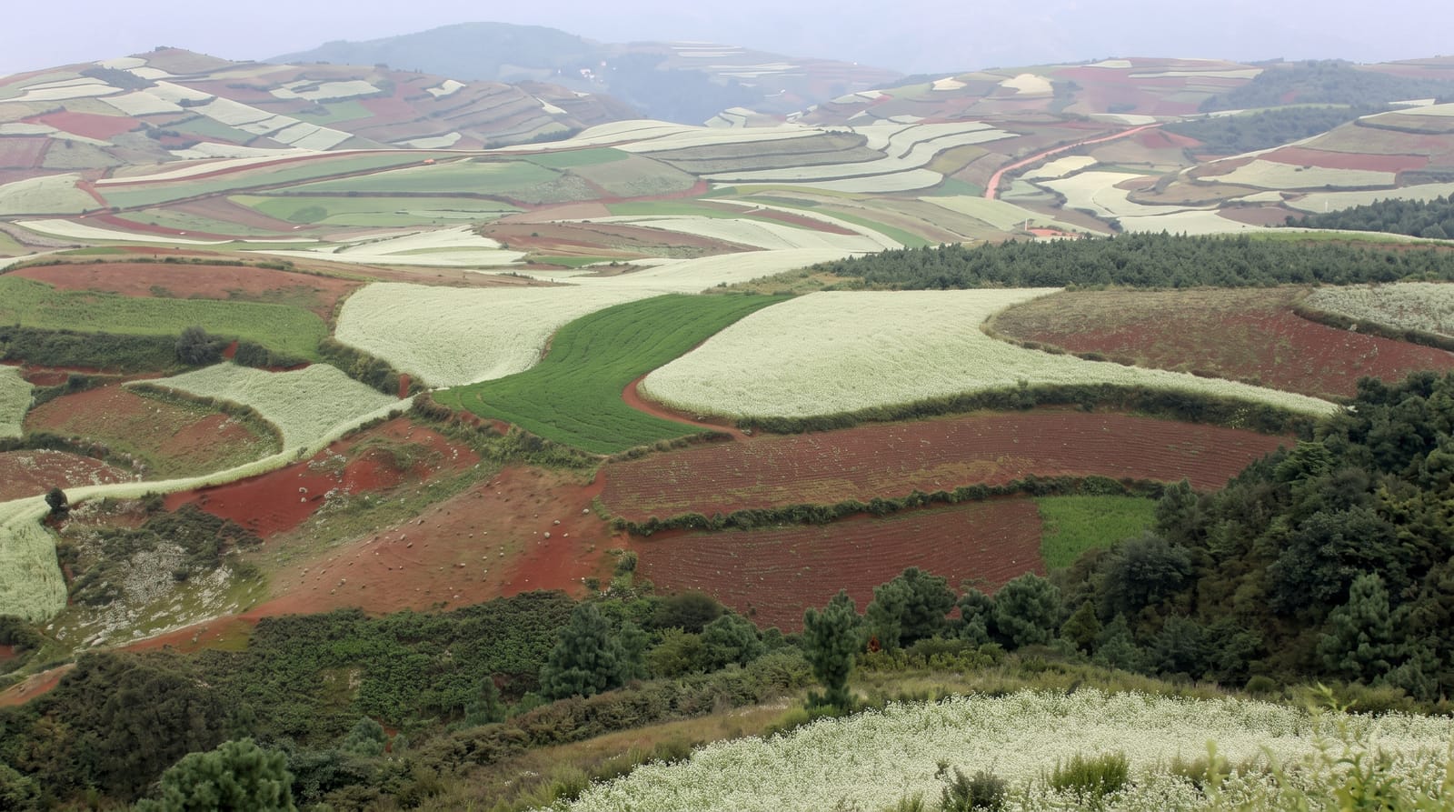 Dongchuan Red Land