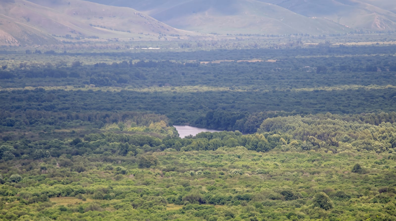 Ergun Wetlands