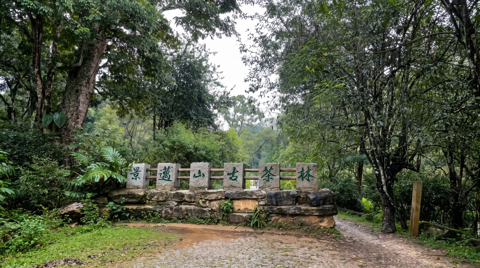 Jingmai Mountain