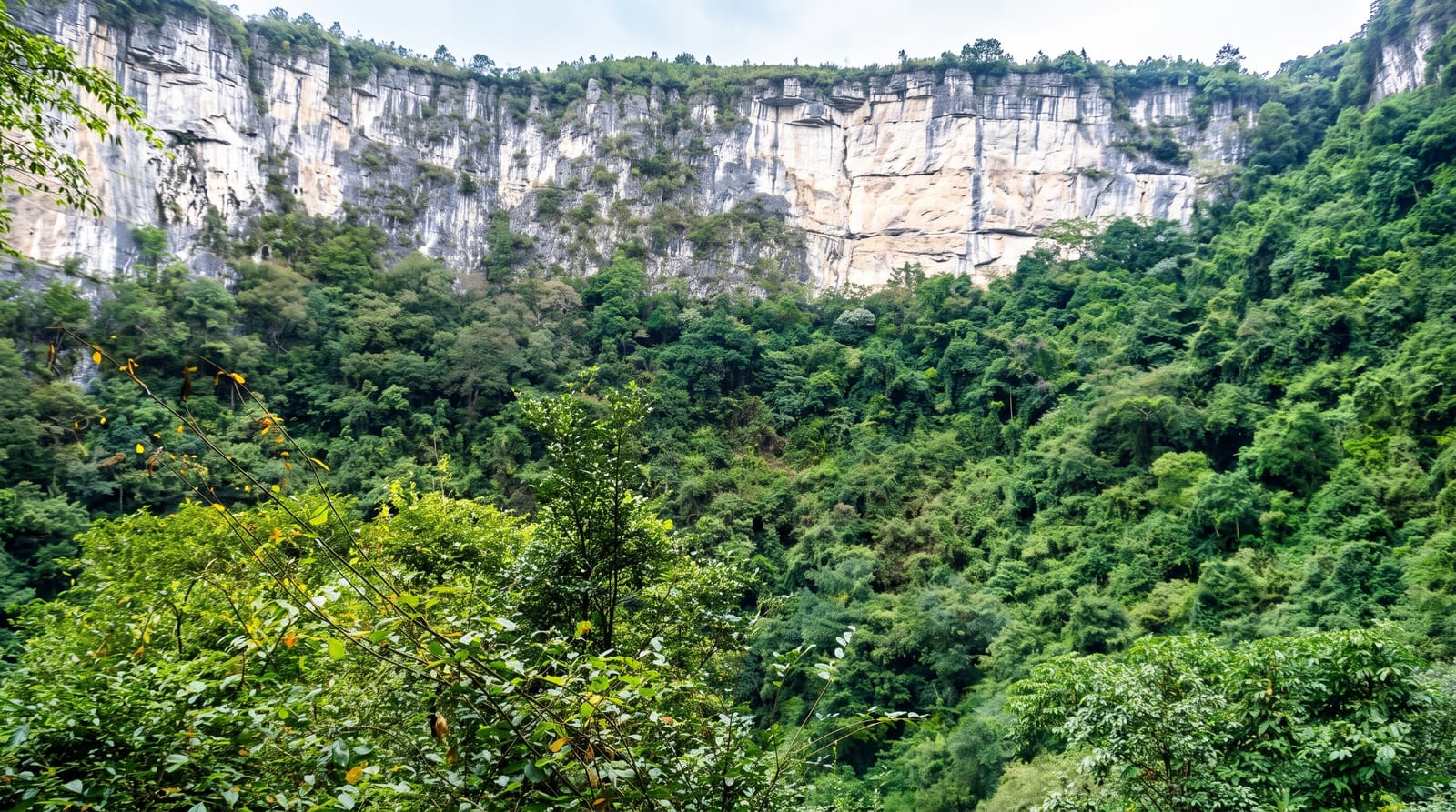 Leye Tiankeng Group