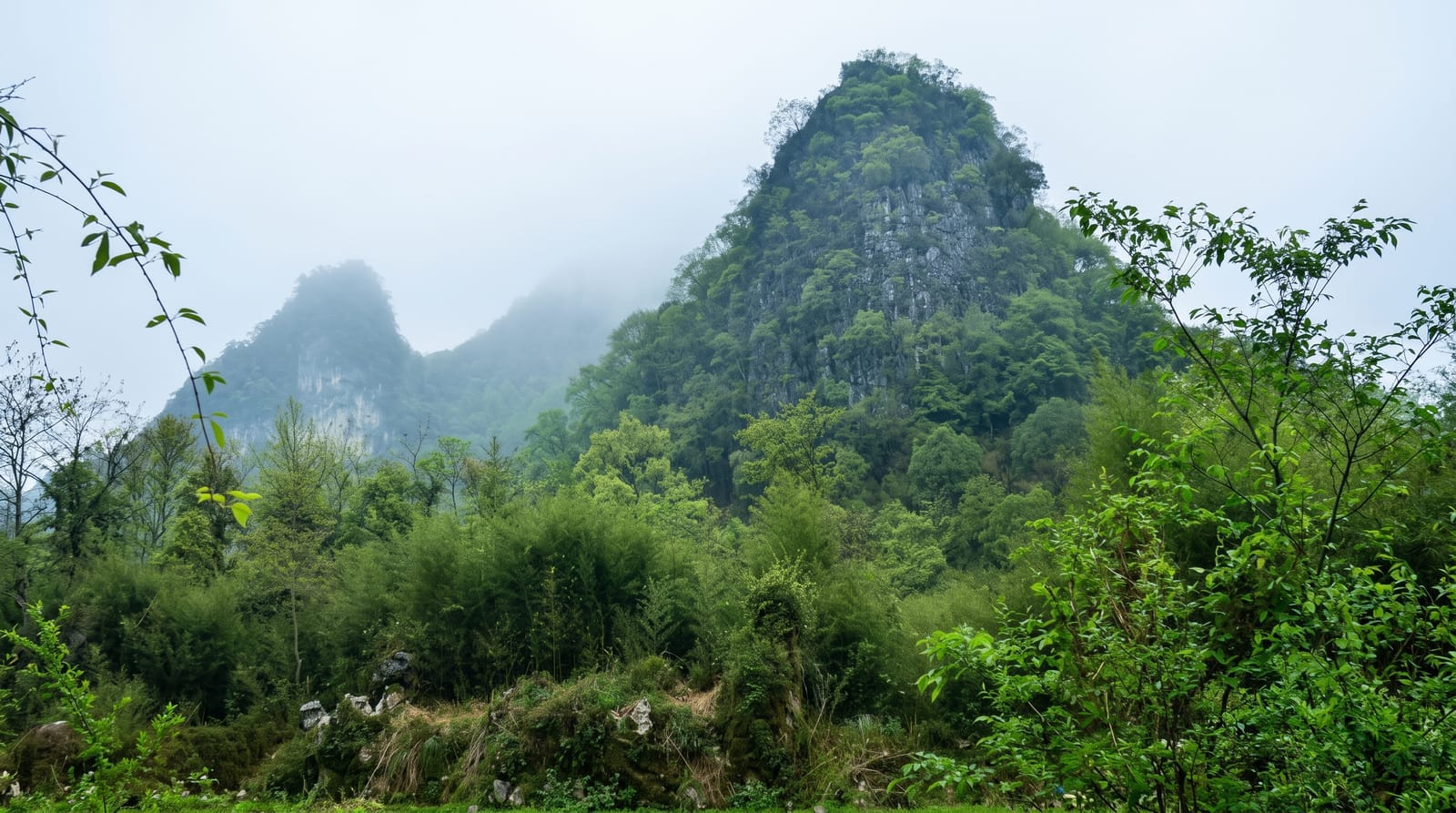 The Libo Karst