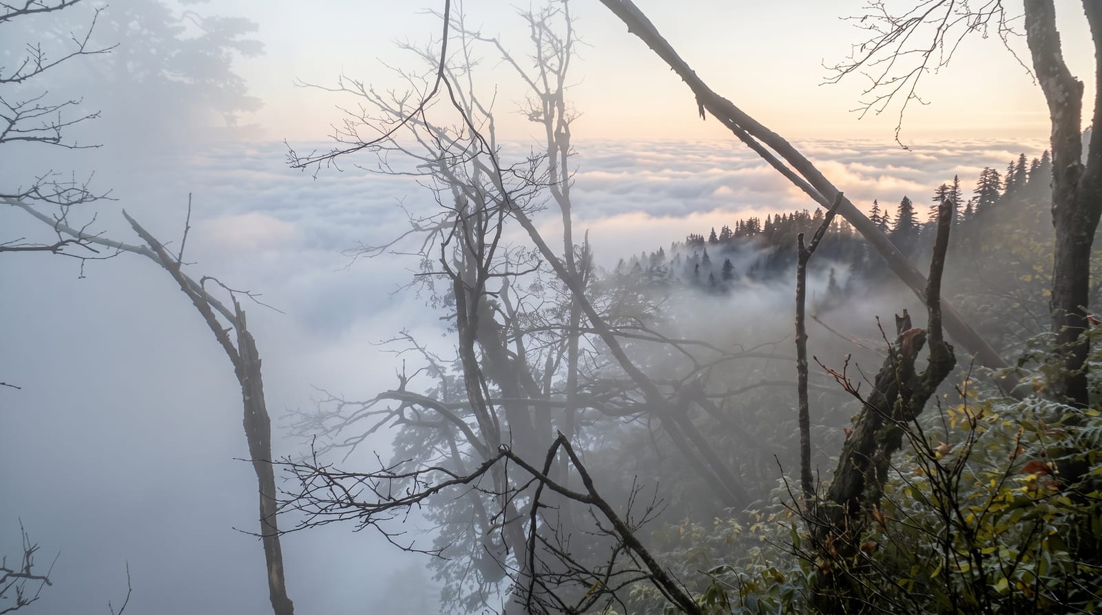 Mount Emei