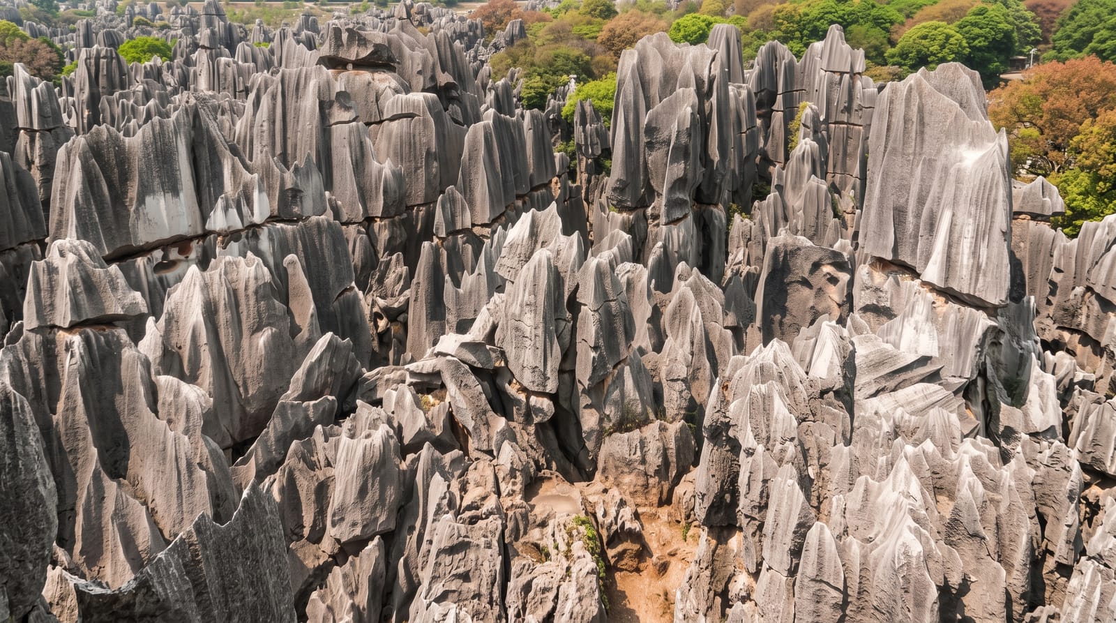The Stone Forest at Shilin
