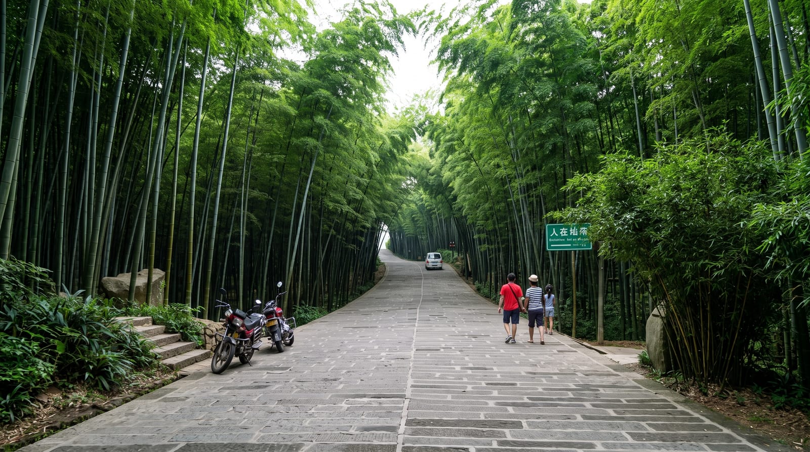 Shunan Bamboo Sea