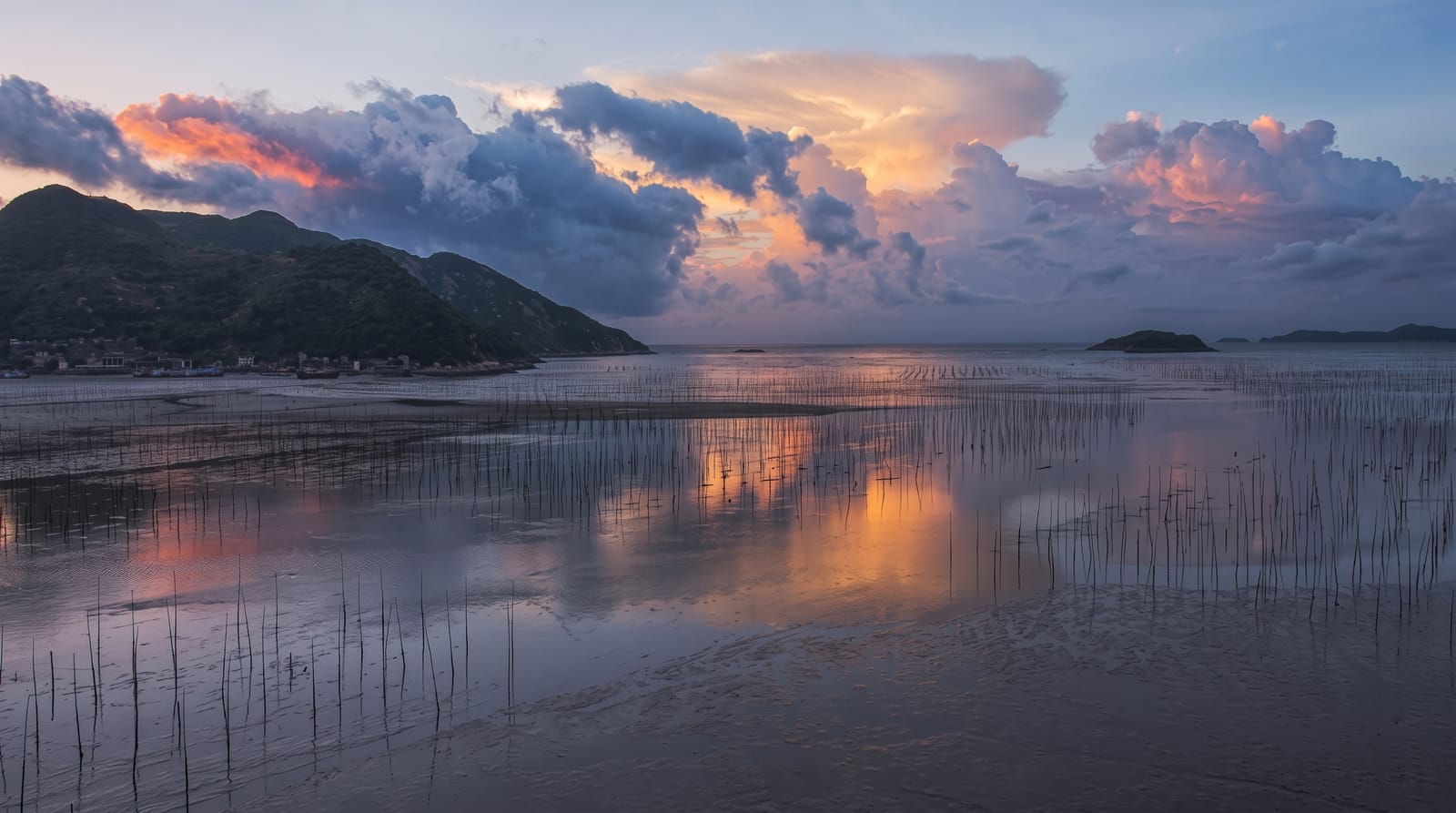 Xiapu Mudflats
