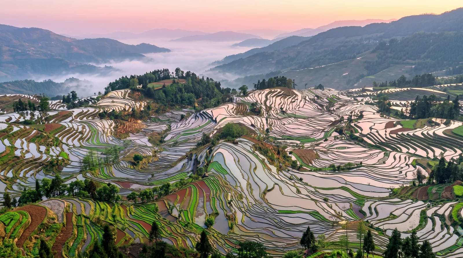 Yuanyang Rice Terraces
