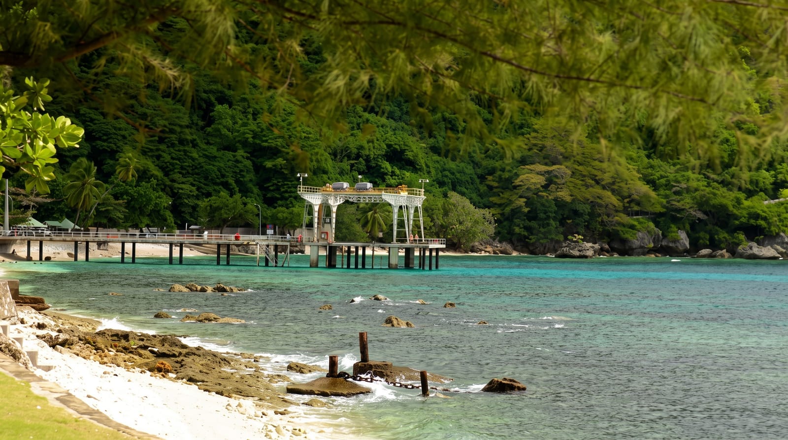 Flying Fish Cove
