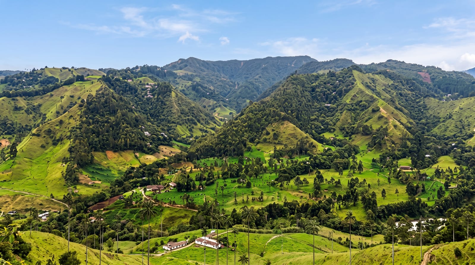The Cocora Valley
