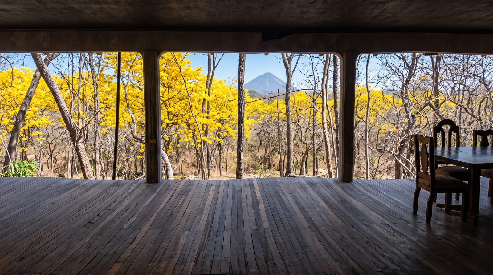 Guanacaste Dry Forest