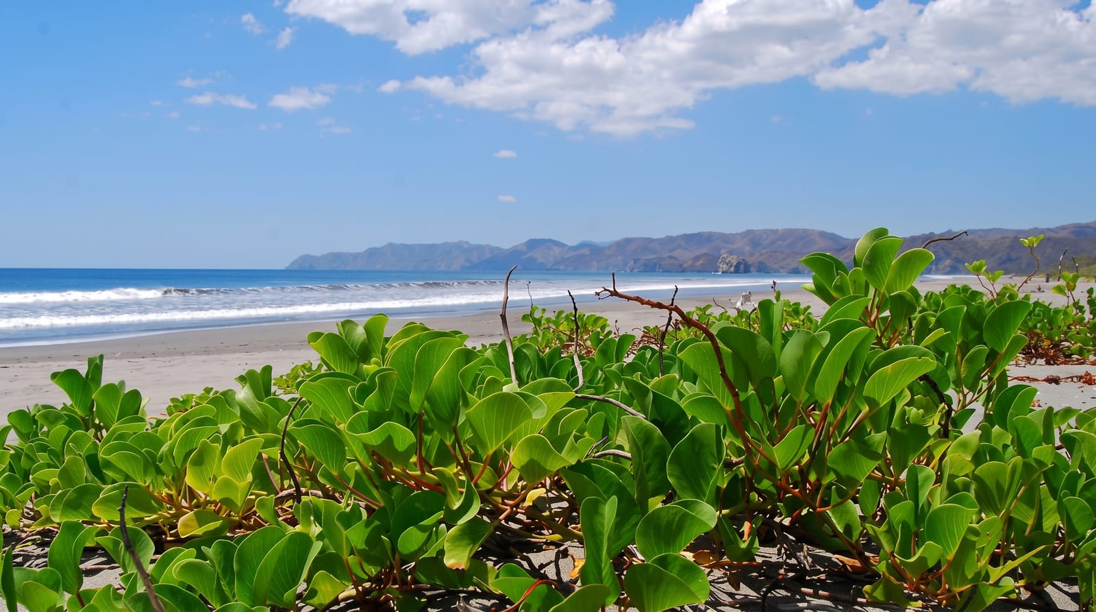 Santa Rosa National Park
