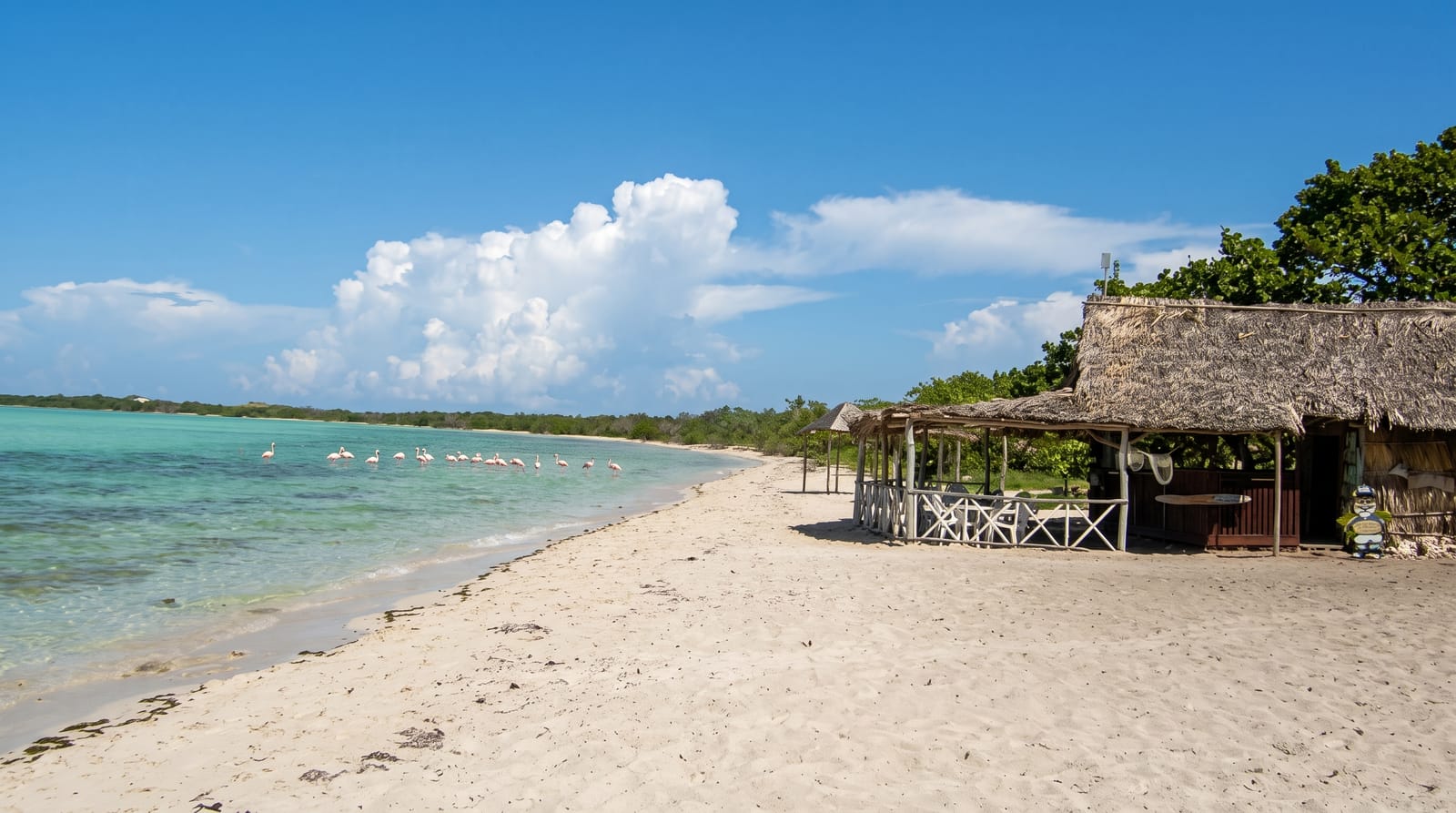 Cayo Coco and the Jardines del Rey