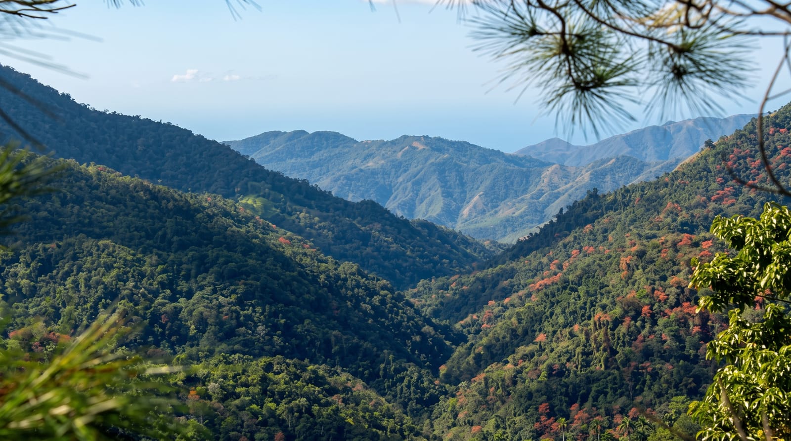 The Sierra Maestra