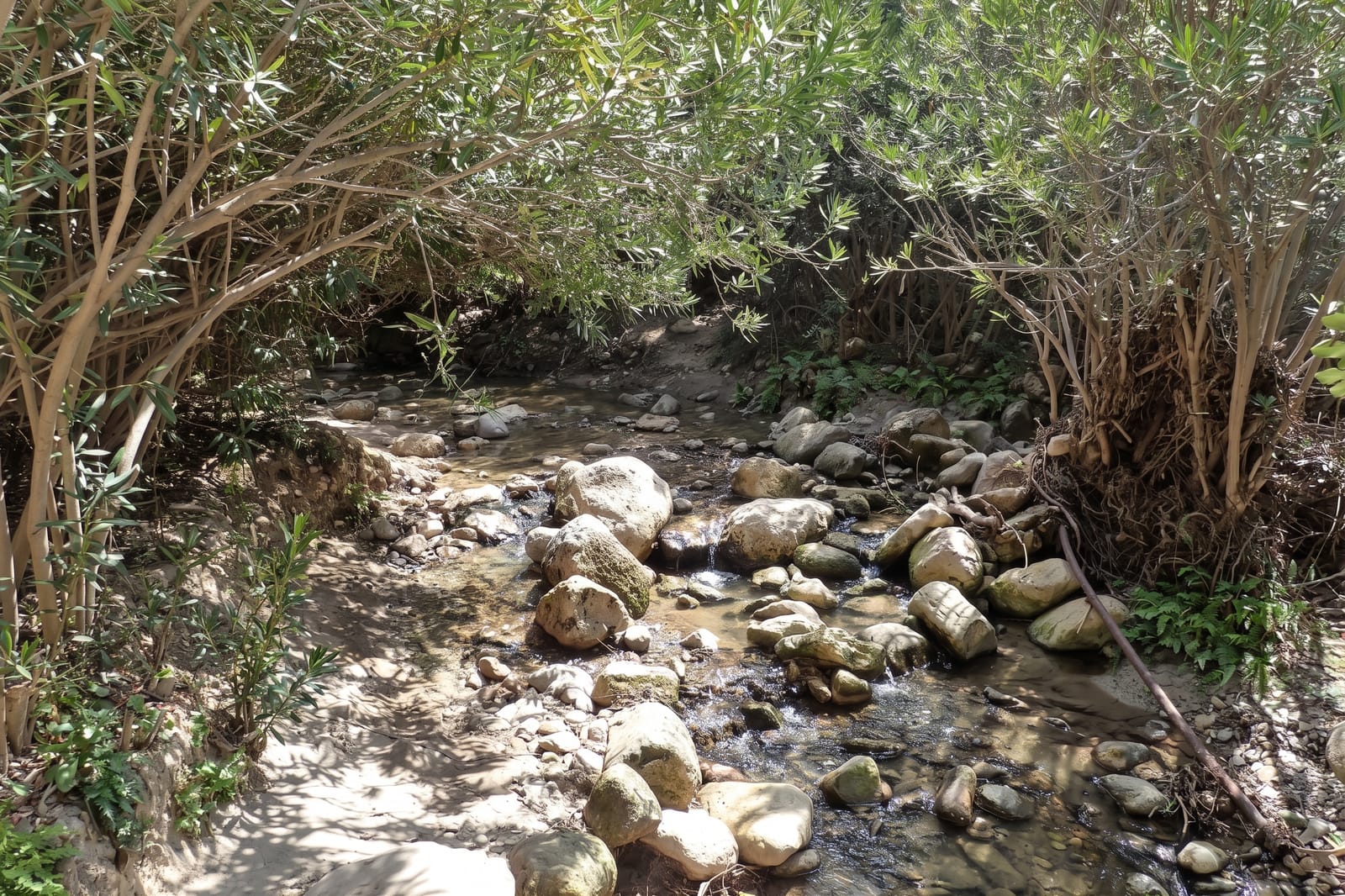 Avakas Gorge