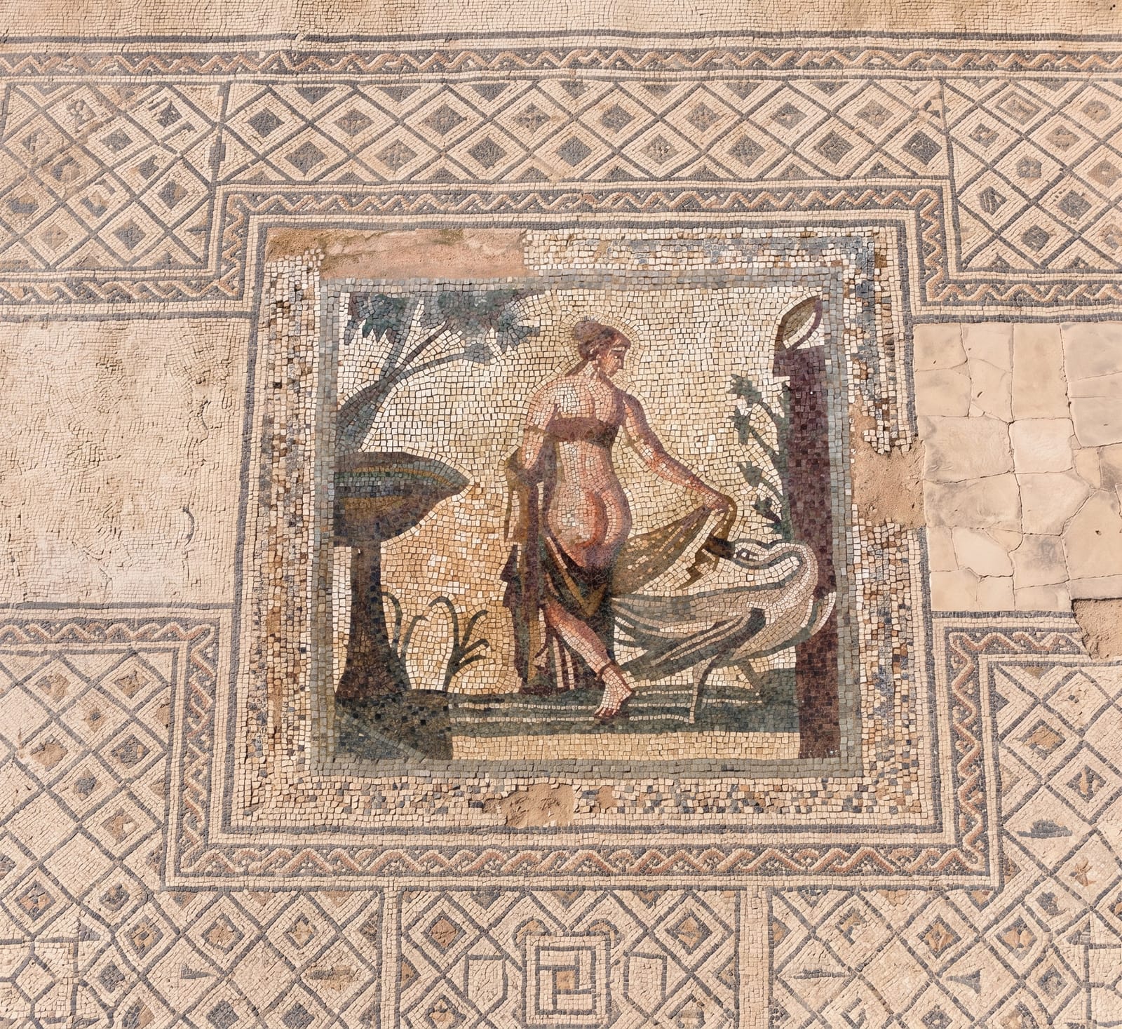 Paphos and its Mosaics