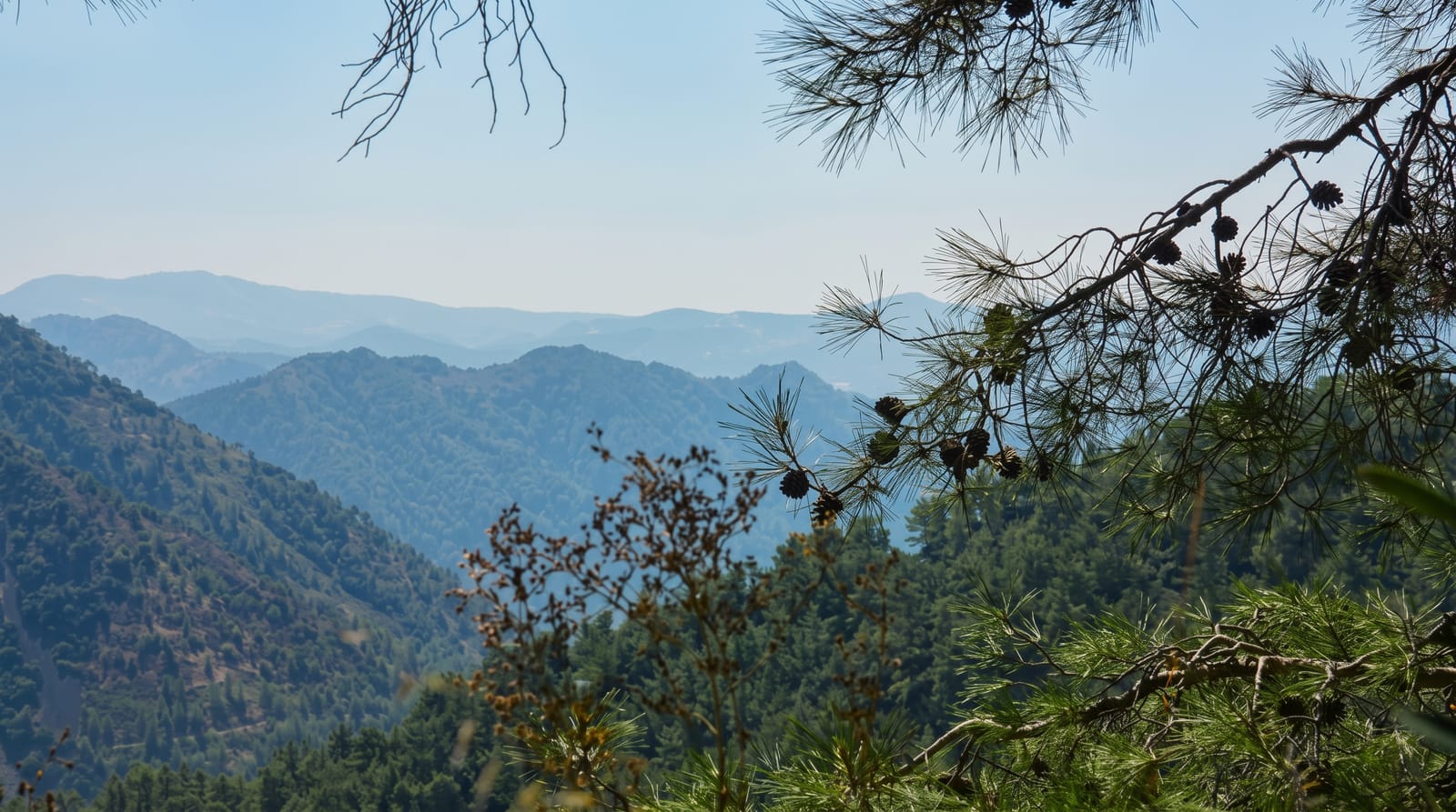 The Troodos Mountains