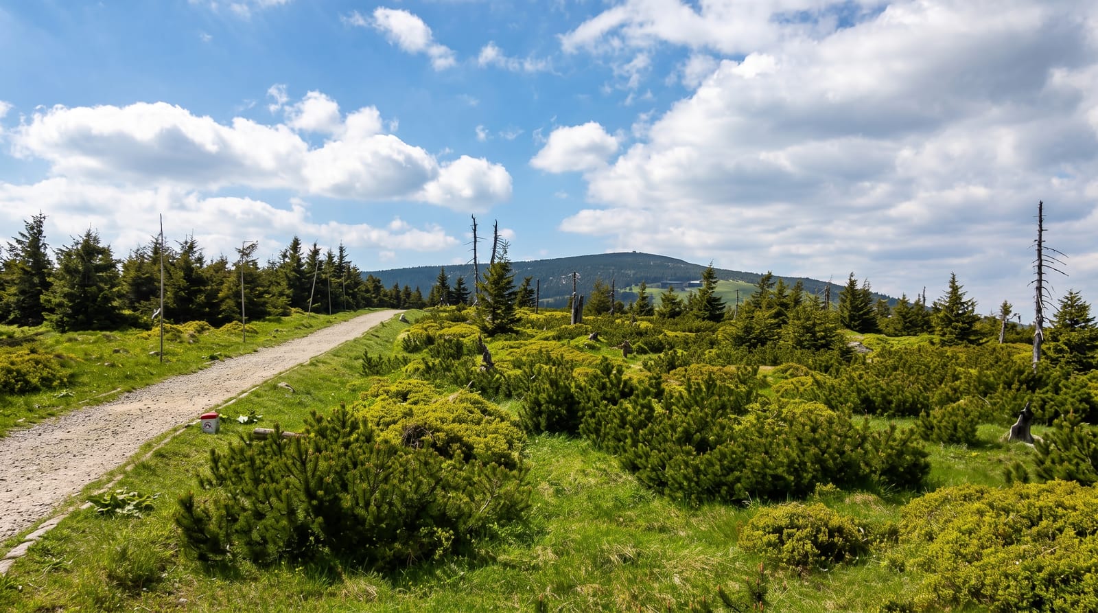 Krkonose National Park